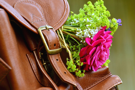 elegance francaise 01