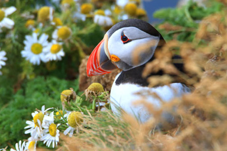 bretagne legendes 01