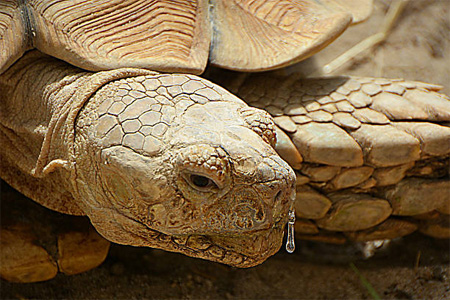 provence nature exception 01