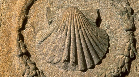 saint jacques compostelle 01