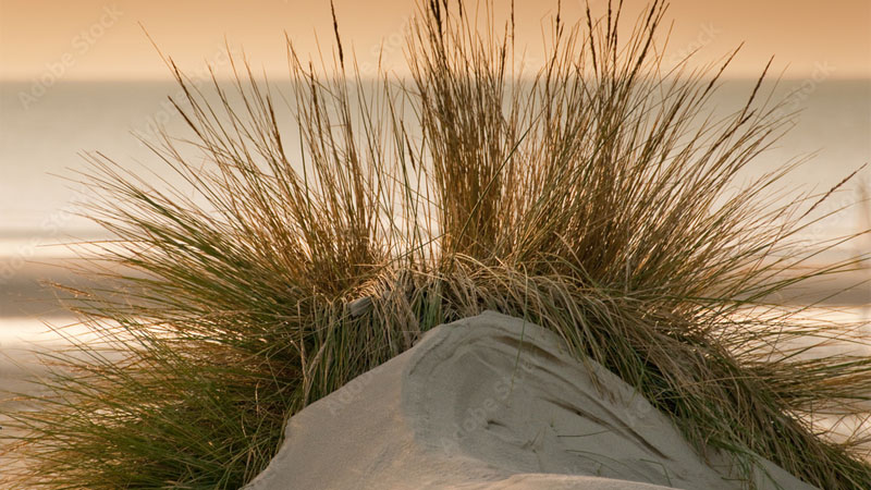 03 littoral atlantique